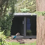 Hey Spreewald Ferienapartments * Lübben