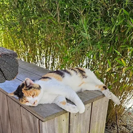 Hey Spreewald Ferienapartments *
