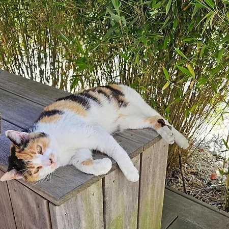 Hey Spreewald Ferienapartments Apartamento *