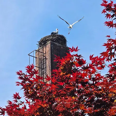 Hey Spreewald Ferienapartments Apartamento Lübben