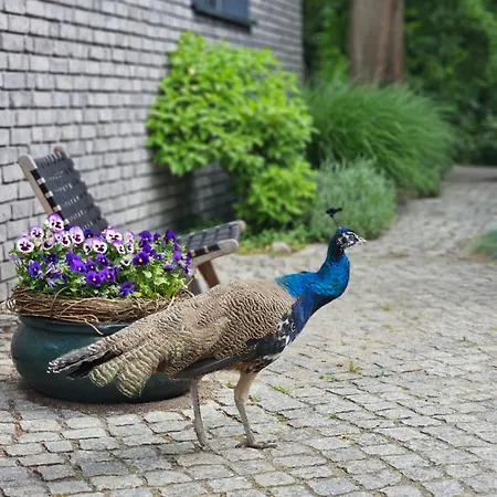 Hey Spreewald Ferienapartments * Lubben