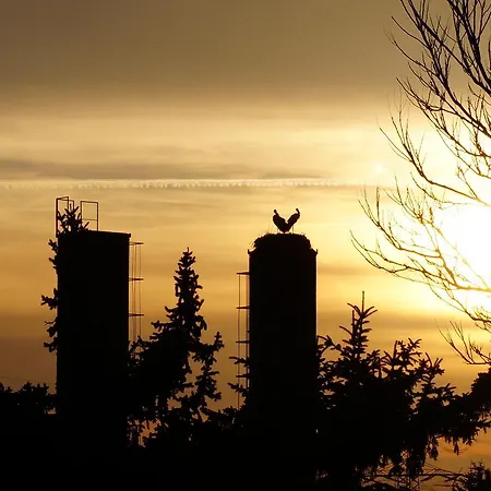 Hey Spreewald Ferienapartments Lübben