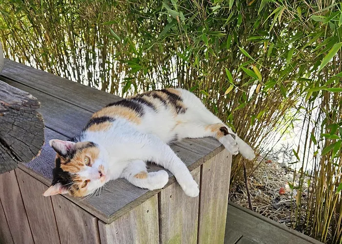 Hey Spreewald Ferienapartments Apartmán *