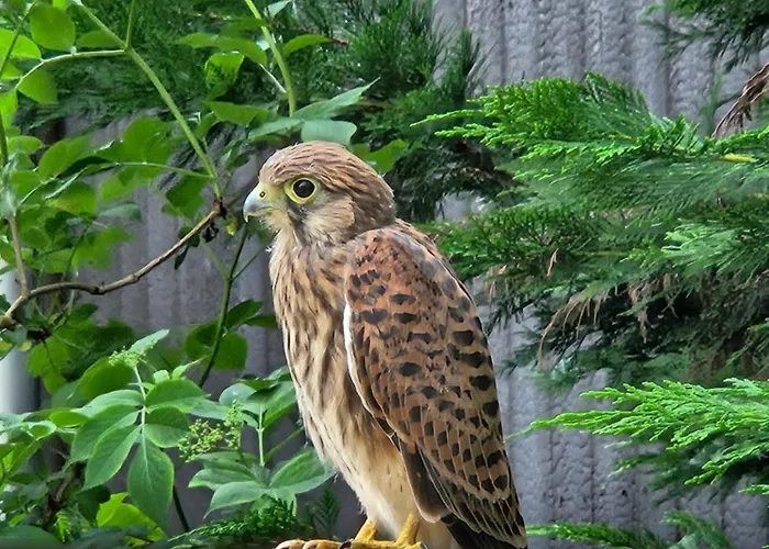 Hey Spreewald Ferienapartments Apartmán